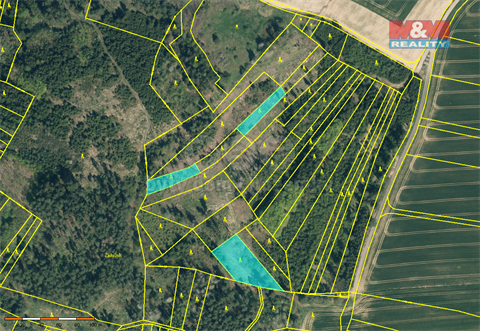 Prodej lesu, 19 561 m² 4