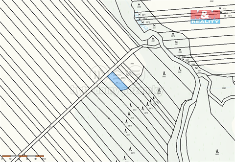 Prodej lesu, 1 288 m² - 4