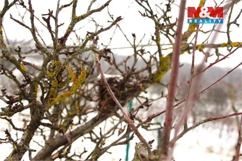 Prodej zemědělské půdy, 4 096 m² - 14