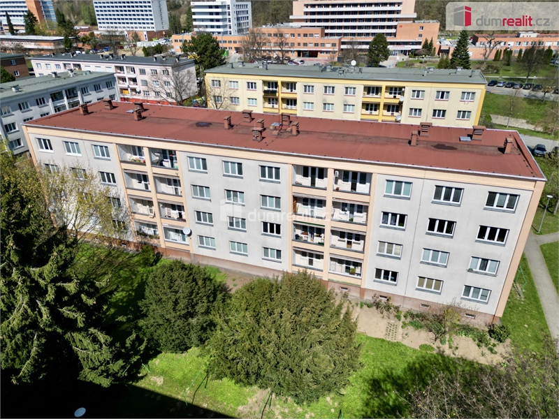 Obrázek č. 1