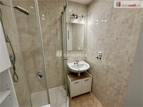 Pronájem bytu 2+1, 54 m² 14