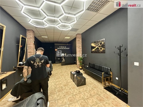 Pronájem obchodních prostor, 46 m² - 4