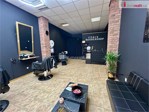 Pronájem obchodních prostor, 46 m² - 12