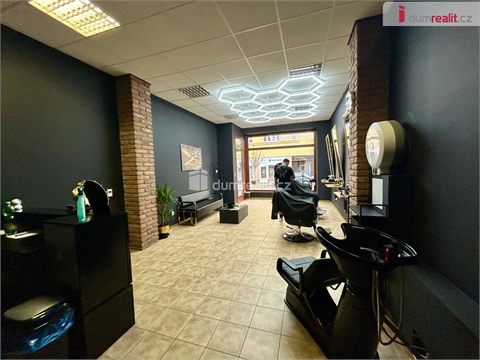 Pronájem obchodních prostor, 46 m² 16