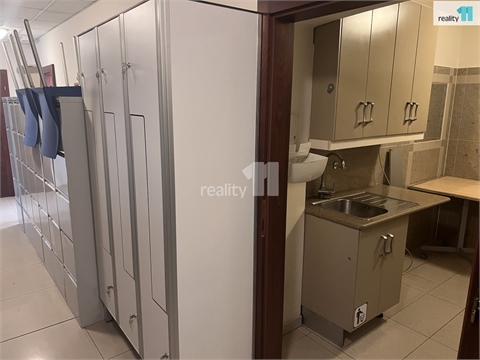 Pronájem obchodních prostor, 146 m² 14