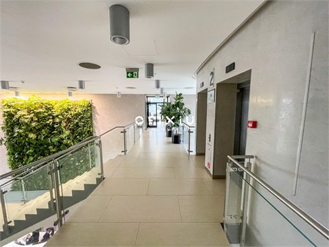 Pronájem kanceláře, 500 m² - 2