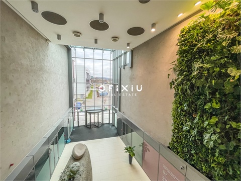 Pronájem kanceláře, 500 m² 2