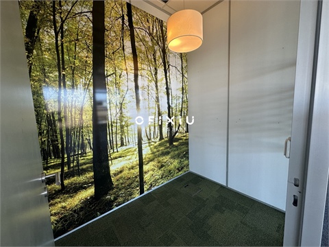 Pronájem kanceláře, 300 m² - 2