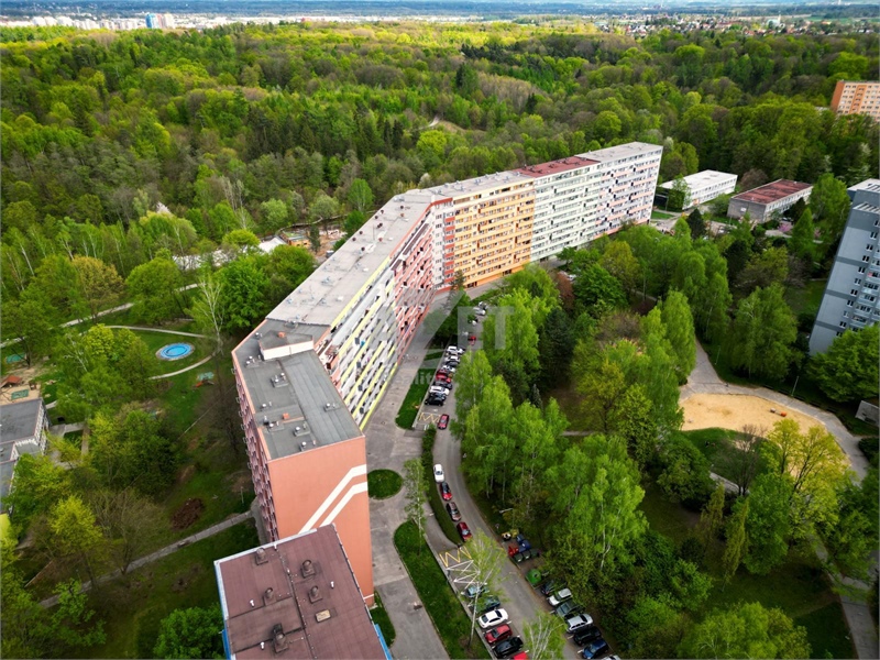 Obrázek č. 1