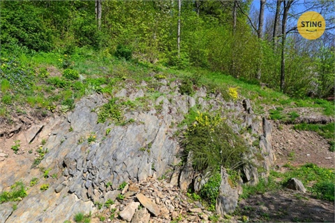 Prodej objektu, 173 m² - 24