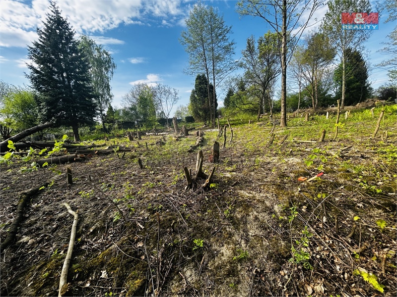 Obrázek č. 1