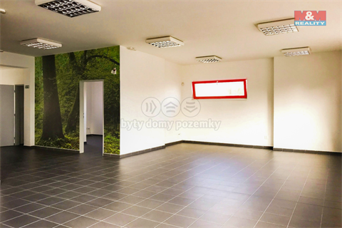 Prodej obchodních prostor, 300 m² - 4