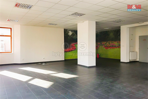Prodej obchodních prostor, 300 m² 4
