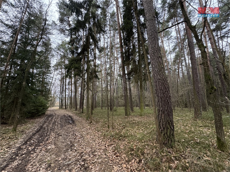 Obrázek č. 1