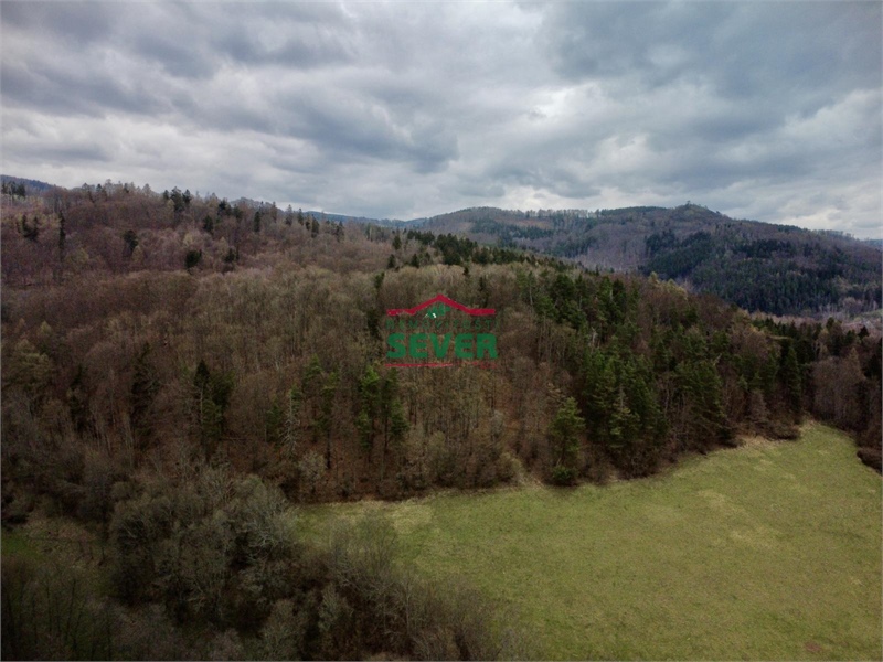 Obrázek č. 1