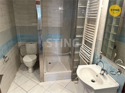 Prodej domu, 250 m² - 6