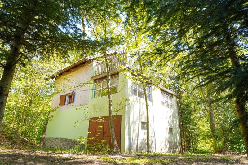 Obrázek č. 1