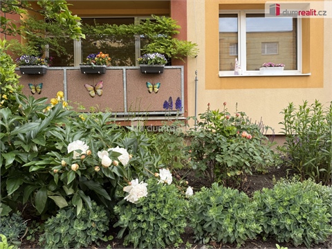 Pronájem bytu 1+1, 36 m² 10