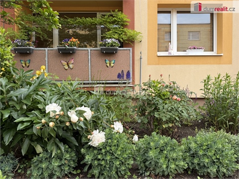 Pronájem bytu 1+1, 36 m² - 14