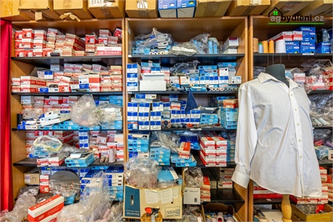 Prodej komerčního objektu, 260 m² 8