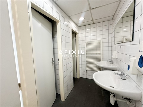 Pronájem obchodních prostor, 183 m² - 8