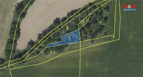 Prodej lesu, 2 104 m² - 2