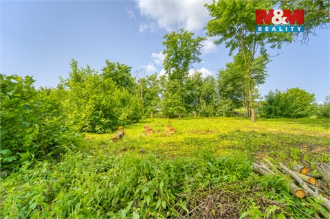 Prodej stavebního pozemku, 2 641 m² 18