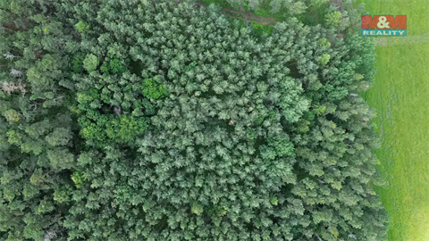 Prodej lesu, 3 372 m² - 6