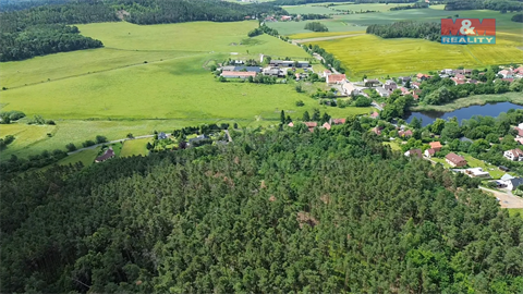 Prodej lesu, 3 372 m² - 4