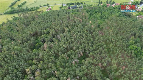 Prodej lesu, 3 372 m² 6