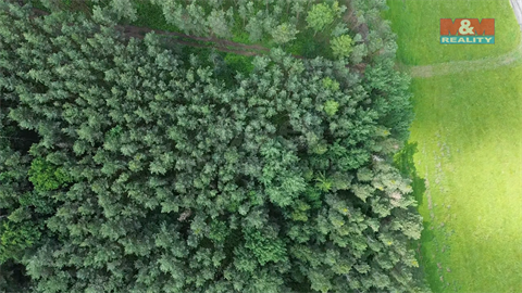 Prodej lesu, 3 372 m² 8