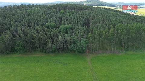 Prodej lesu, 3 372 m² - 10