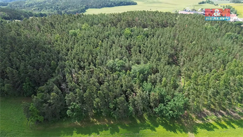 Prodej lesu, 3 372 m² - 8