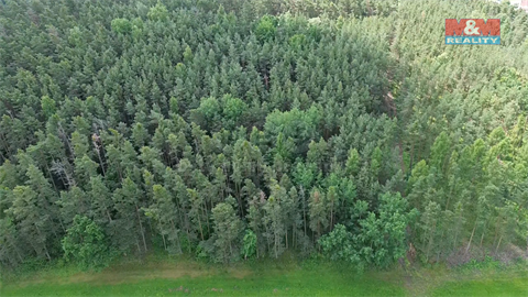 Prodej lesu, 3 372 m² 10