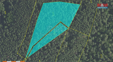 Prodej lesu, 3 372 m² 12