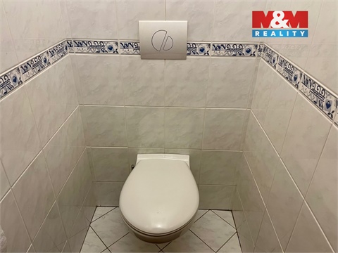 Pronájem bytu 1+1, 46 m² 22