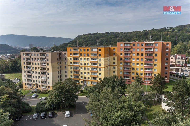 Obrázek č. 1