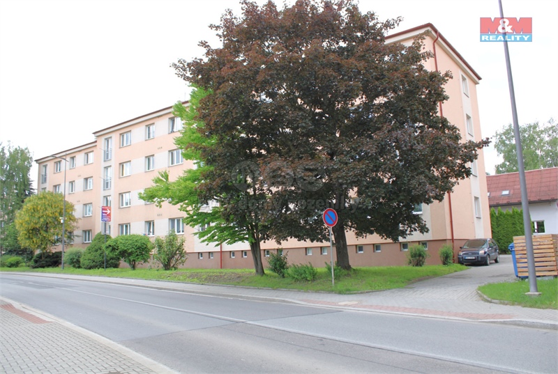 Obrázek č. 1