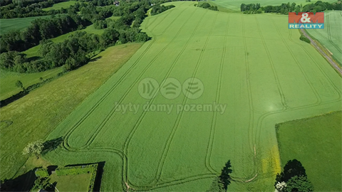 Prodej zemědělské půdy, 8 056 m² 6