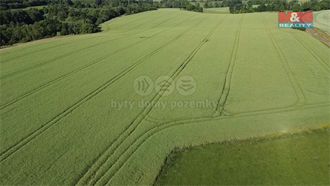 Prodej zemědělské půdy, 8 056 m² - 6