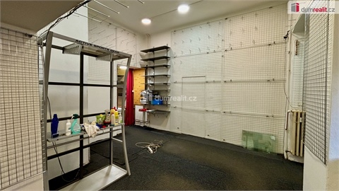 Pronájem obchodních prostor, 118 m² 8