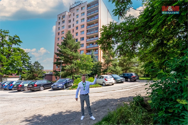 Obrázek č. 1