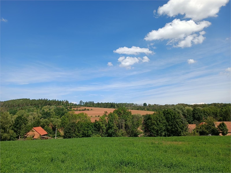 Obrázek č. 1
