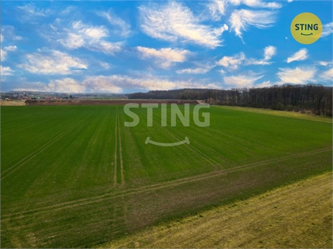 Prodej zemědělské půdy, 6 038 m² - 0