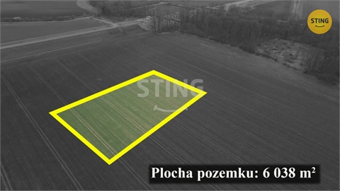 Prodej zemědělské půdy, 6 038 m² 4