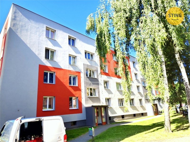 Obrázek č. 1
