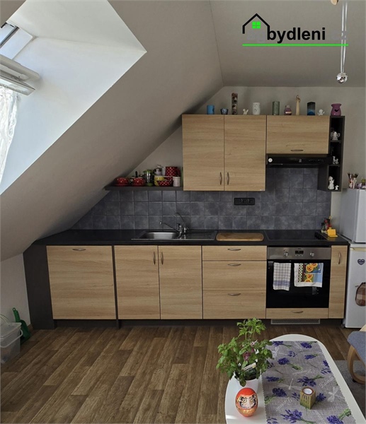 Obrázek č. 1