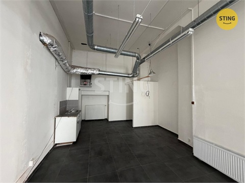 Pronájem obchodních prostor, 140 m² - 10