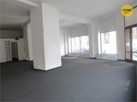 Pronájem obchodních prostor, 140 m² - 8