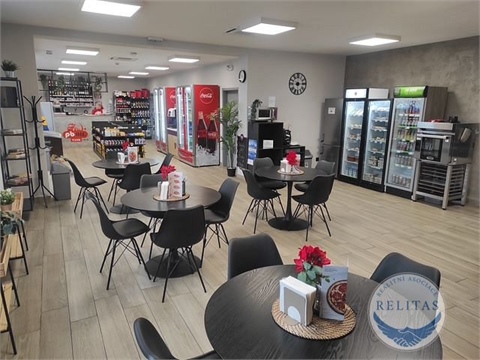 Prodej obchodních prostor, 210 m² - 8